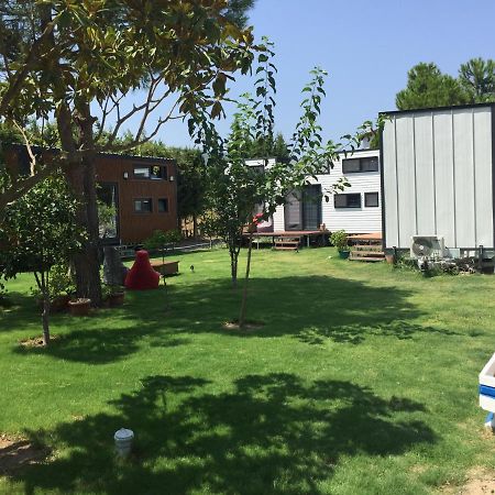 אורלה Sakiz Tiny House & Apart מראה חיצוני תמונה